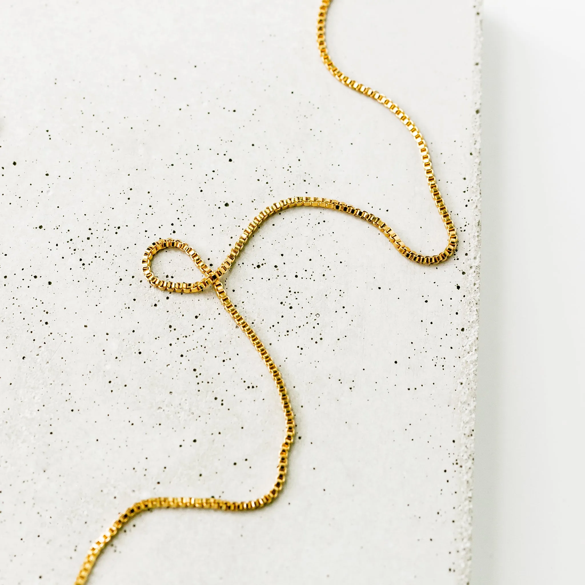 Cleo Delicate Box Chain Necklace