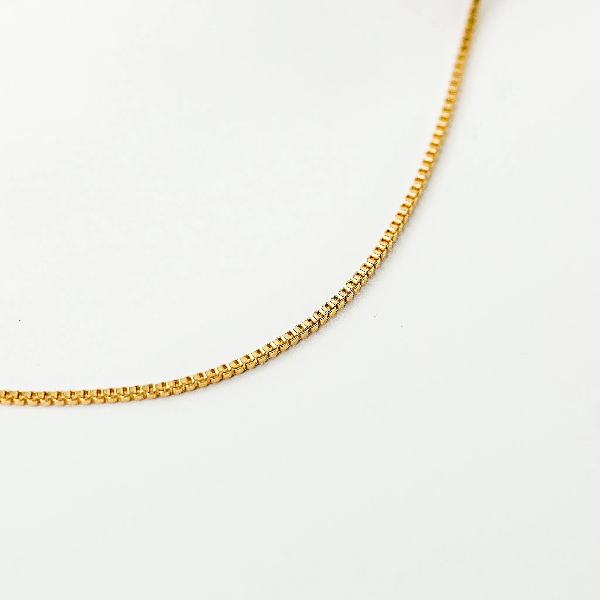 Cleo Delicate Box Chain Necklace