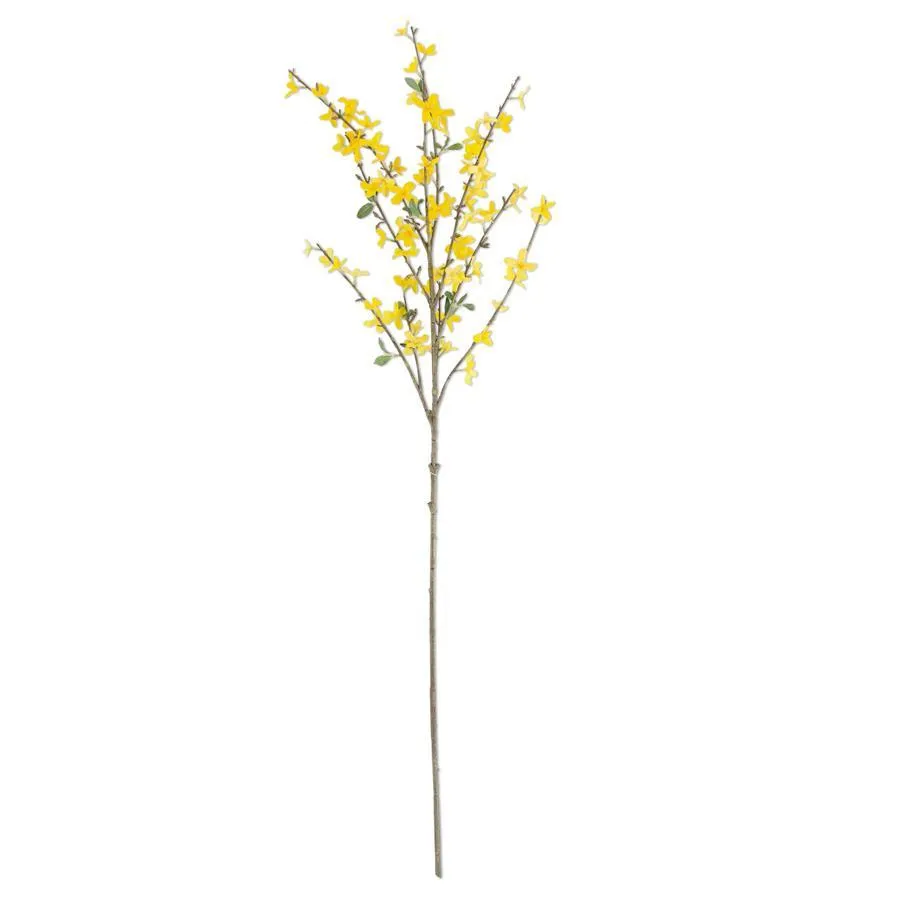 Forsythia Stem - 44 inch