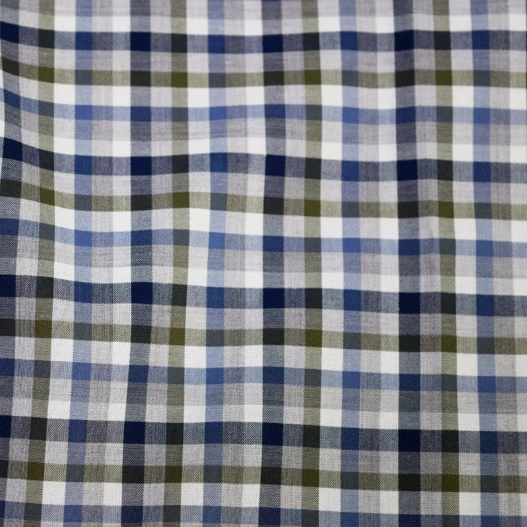 'FX Fusion' Men's Checked Button Down - Blue Multi