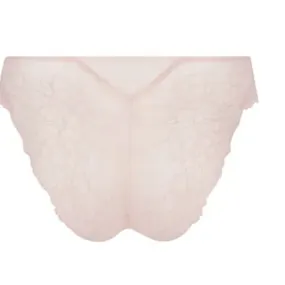 Lise Charmel Sublime En Dentelle Italian Brief in Rose ACH0713