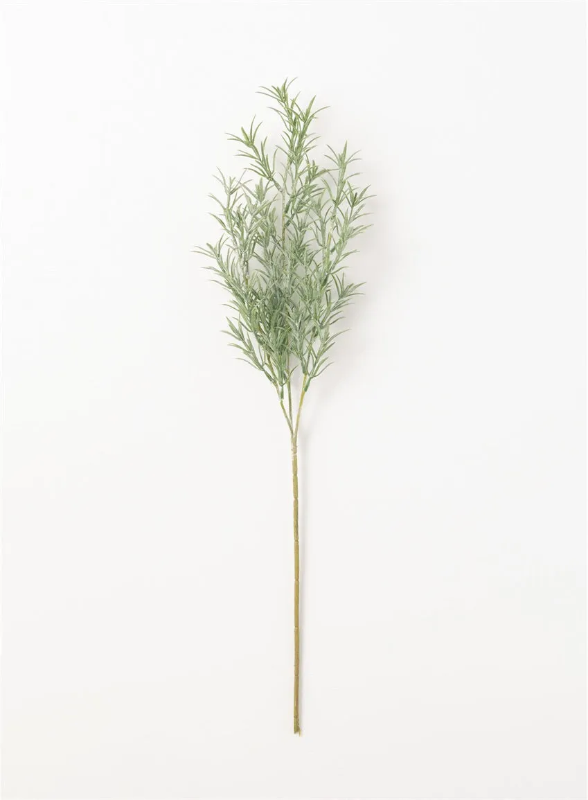 Rosemary Stem