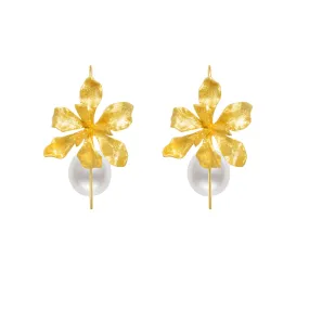 Vanda Miss Joaquim Freshwater Pearl Earrings WE00503